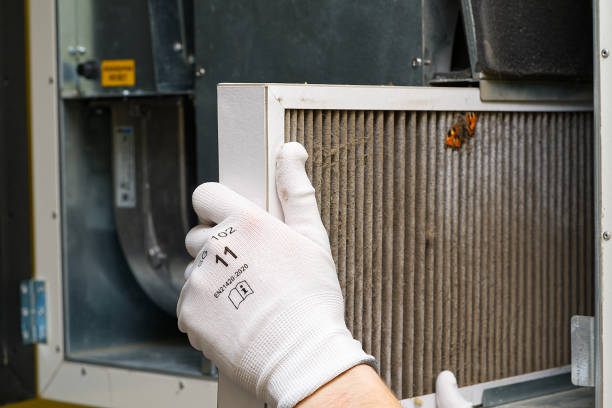Air Duct Mold Removal in Tehachapi, CA
